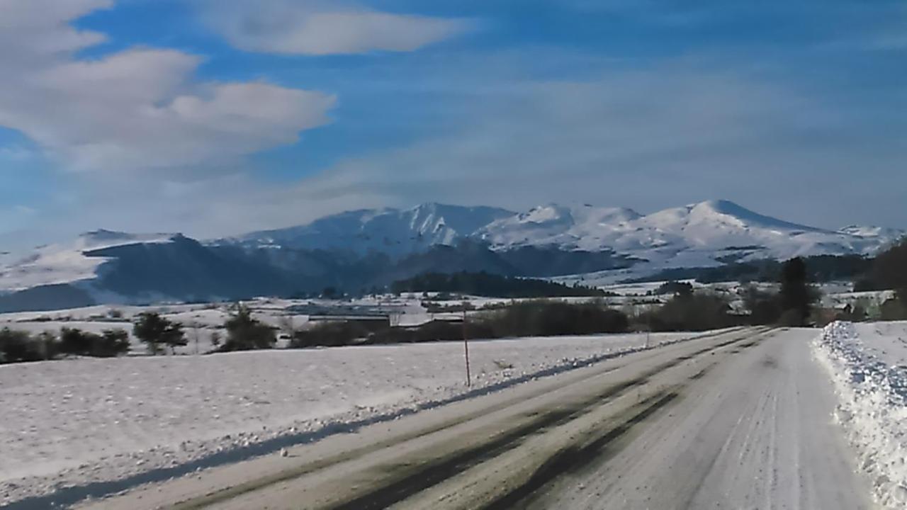 Tulipe, Appartement 5 Personnes, Entre Sancy Et Volcans D'Auvergne Orcival Extérieur photo