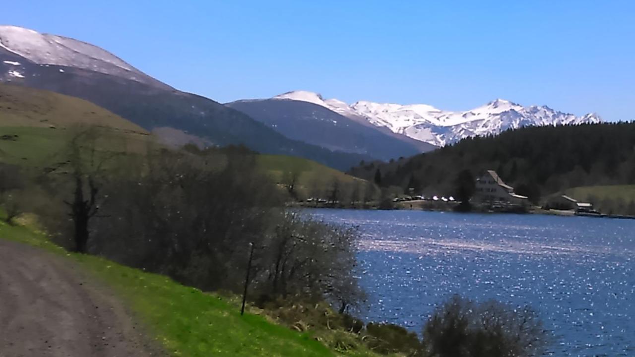 Tulipe, Appartement 5 Personnes, Entre Sancy Et Volcans D'Auvergne Orcival Extérieur photo